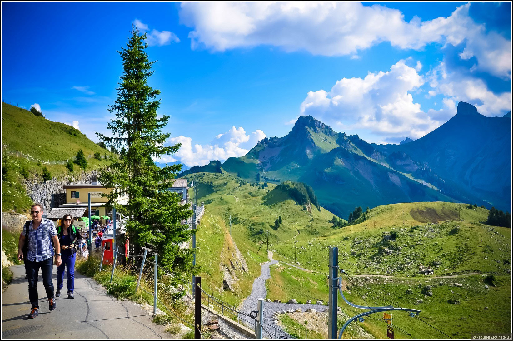 Schynige Platte (Wilderswil)